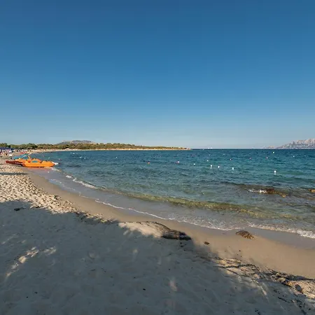 Bilo Caraibi 2 Pittulongu